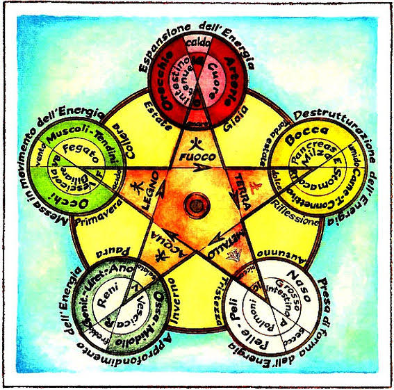 Diagramma dell'equilibrio energetico secondo la Medicina Tradizionale Cinese
